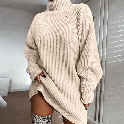 Solid Turtleneck Long Sweater Winter Warm Women Sweater Dress EHAD +